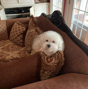 Meet your Posher, Atul